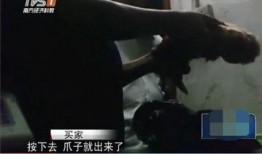 秃崽视频爆料在线观看,揭秘网络热点背后的真相