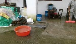 怎样爆料上今日关注,如何让你的信息登上今日关注