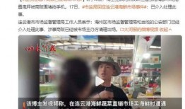 小博海鲜爆料事件视频,揭秘海鲜行业潜规则