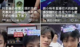 独家爆料小杨哥视频播放,小杨哥视频播放背后的惊人数据与现象