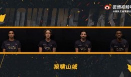 爆料重庆狼队事件视频,揭秘视频背后的惊人真相