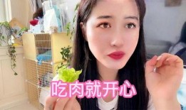 龙哥前妻爆料视频,揭秘婚姻内幕与情感纠葛