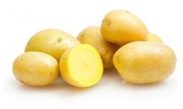 雪天使土豆网在线观看