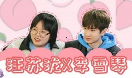 爆料明星八卦刘大锤视频,明星八卦视频背后的惊人真相