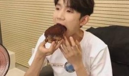 网红爆料王源视频播放在线观看,在线观看热潮来袭！