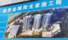 福保最新爆料消息,最新爆料事件深度解析