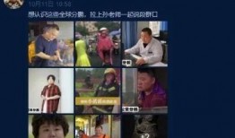 秃崽视频爆料在线观看,揭秘网络热点背后的真相