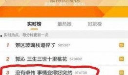 卓伟爆料别人私事视频,揭秘明星私生活视频引发热议
