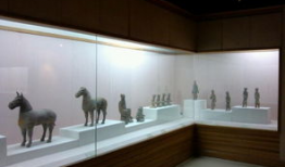 徐州博物馆爆料事件视频,揭秘背后真相与争议