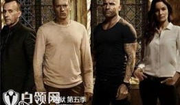 在线观看 越狱第五季,惊心动魄的逃亡之旅再续篇章