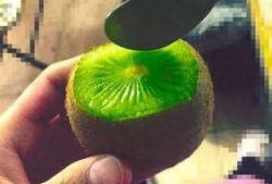 抖音网红的瓜在哪里吃,揭秘抖音网红“瓜在哪里吃”的秘密美食之旅