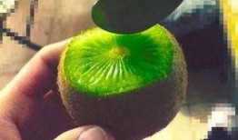 抖音网红的瓜在哪里吃,揭秘抖音网红“瓜在哪里吃”的秘密美食之旅