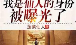 神仙客栈最新爆料小说,揭秘神秘仙侠世界，探寻宿命奇缘