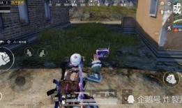 最新皮肤吃鸡爆料,炫酷造型与神秘背景大揭秘