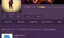 成源微博爆料视频下载,下载背后的真相与争议