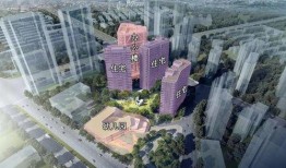 上海普陀最新爆料,揭秘上海普陀区最新动态与热点事件