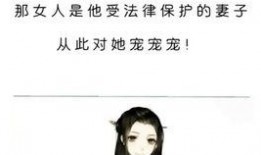 推文娱乐圈爆料的小说免费阅读,揭秘小说背后的秘密，免费阅读等你来探秘