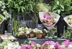 娱乐吃瓜酱花店,吃瓜酱花店背后的秘密花园