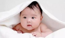 吃瓜的宝贝33集免费观看,揭秘剧情高潮，免费观看大揭秘！