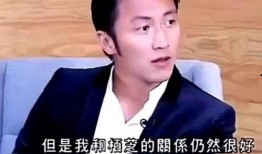 向太爆料谢霆锋了吗视频,视频揭秘背后真相