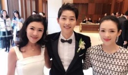 双宋结婚爆料视频大全最新,独家视频大全精彩瞬间回顾