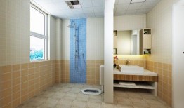 日本卫生间爆料视频,独特设计与文化内涵一窥究竟