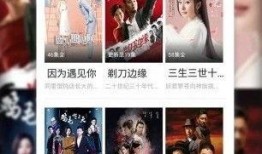 潮汕爆料大哥视频播放下载,揭秘视频播放与下载的独家技巧
