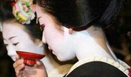 日本温泉艺妓在线观看,在线观看体验之旅