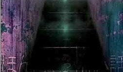 毛骨悚然撞鬼经在线观看,揭秘恐怖传说背后的真实故事