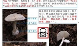 死水最新爆料消息新闻报道,最新爆料揭露惊人内幕