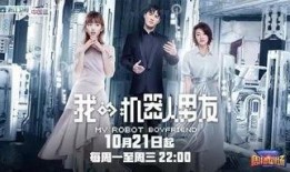 机器男友在线观看,揭秘机器男友的浪漫世界