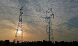 鲁山爆料最新消息今天,今日热点事件深度解析