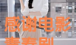 谢谢全集在线观看,温情回顾，感动人心的故事集锦