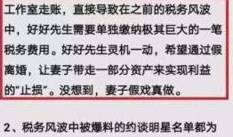 卓伟爆料李鬼们视频播放,揭秘网络谣言背后的黑幕