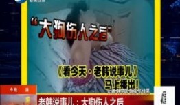 沈阳精彩爆料新闻报道最新