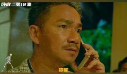 卧底达子在线观看,揭秘卧底警察的惊险人生