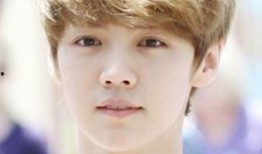 狗仔爆料张艺兴鹿晗视频,张艺兴与鹿晗神秘视频曝光，背后故事引热议