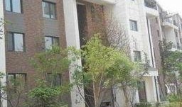 沈阳房地产爆料最新消息,最新爆料揭示市场走向