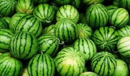 南充网红吃瓜事件真相,真相背后的网络狂欢与反思