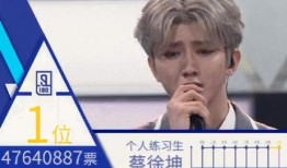 蔡徐坤爆料的狗仔视频,一场关于隐私与尊重的较量