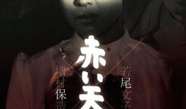 赤色天使在线观看,在线观看，揭秘革命女性的英勇传奇