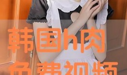 在线h视频观看,在线观看的视听盛宴