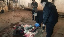 广州暗访爆料事件最新,揭露背后真相与争议