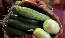 盐城吃瓜网红是谁,瓜界风云人物