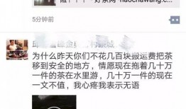 热门爆料中视频,一窥事件背后真相