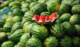 南充网红吃瓜事件真相,真相背后的网络狂欢与反思