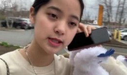 欧阳娜娜妹妹爆料视频大全,揭秘明星家庭幕后故事
