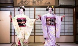 日本温泉艺妓在线观看,在线观看体验之旅