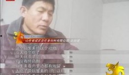 成武吃瓜最新事件爆料是真的吗