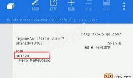 爆料结果怎么看真假啊视频,视频爆料真伪辨析指南